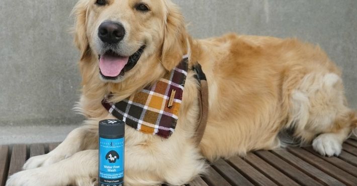 4 Waterless Dog Baths To Keep Your Pup Clean Dogs Pup Your Dog