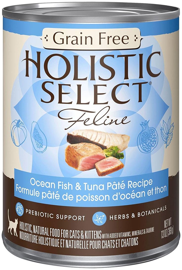 Best Value For Organic Cat Food Wet Best Value For Organic Cat Food Wet