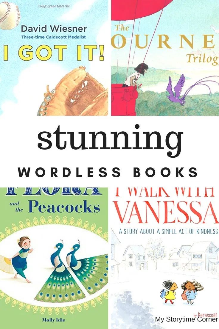 wordless picture books for adults