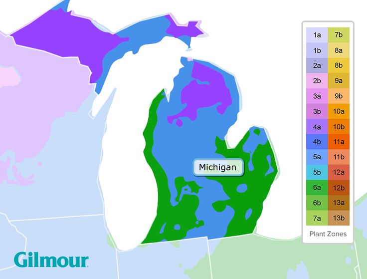 Michigan garden planting guide