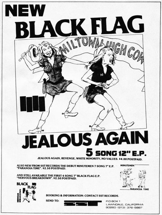 black flag flyer
