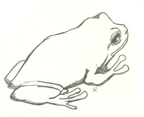 draw a frog how to draw and paint a frog http