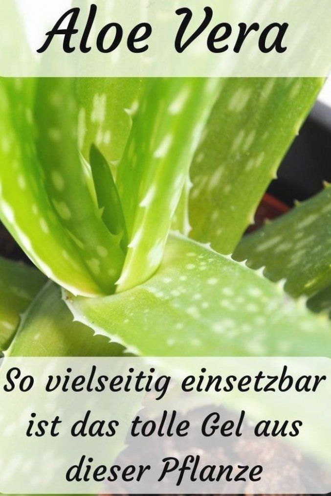 Bekanntschaft zu machen