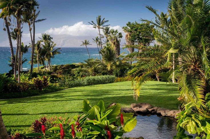 13 Best Maui Wedding Wailea Beach Resort Marriott Images On 라벨라 Wailea Beach Resort Marriott Maui