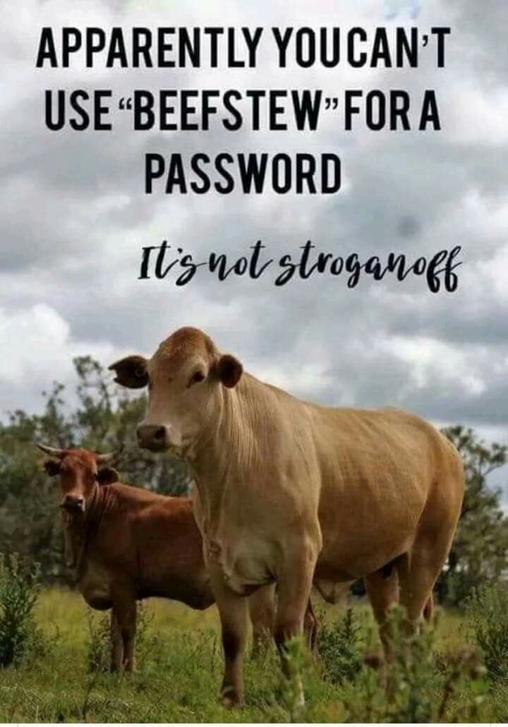 Pin By Karen Levin On Cows Mooooooooooo Farm Humor Book Quotes pin-by-karen-levin-on-cows-mooooooooooo-farm-humor-book-quotes