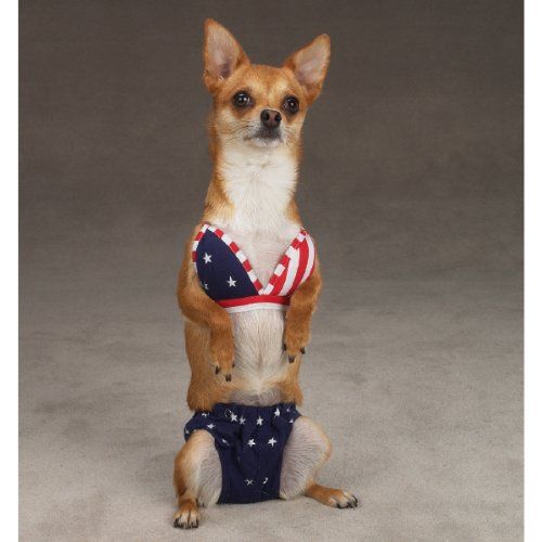 Dog Bathing Suits And Bikinis Pet Costumes Pets Cute Animals