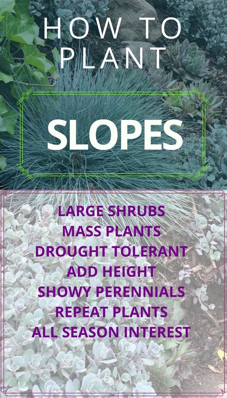 Garden Design On Steep Slopes best 20+ terraced landscaping ideas on pinterest | rock wall Garden Design On Steep Slopes best 20+ terraced landscaping ideas on pinterest | rock wall