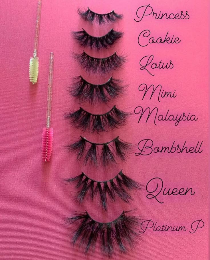 How to Start a Eyelash Business With No Money 1 How to Start a Eyelash Business With No Money
