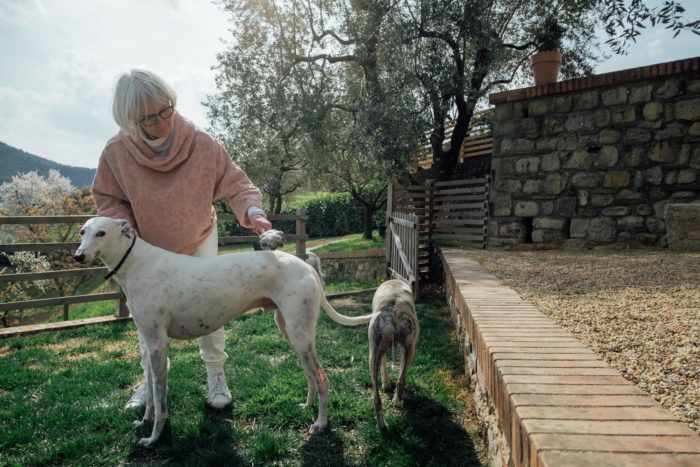 250 best pet friendly places images on pinterest inside italy s most beautiful hotel for dogs