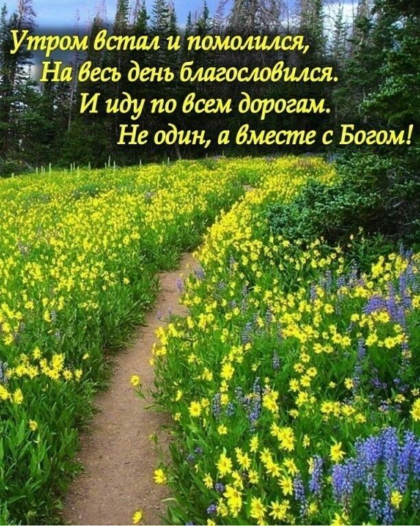 НЕЗАБЫВАЕМАЯ МОСКВА on Instagram: "Непростой период из истории храма Христа Спас