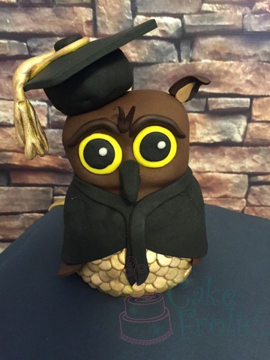 Cake Owl Pinterest Cake Owl Pinterest
