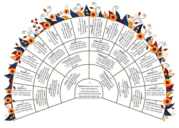 arbre g 233 n 233 alogique ascendant circulaire family tree arbre g2n2alogique gratuit