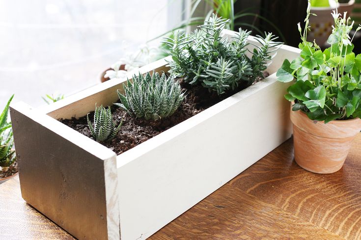 How To Prepare A Wooden Planter Hunker Succulent Planters Diy How To Prepare A Wooden Planter, How To Prepare Outdoor Planters