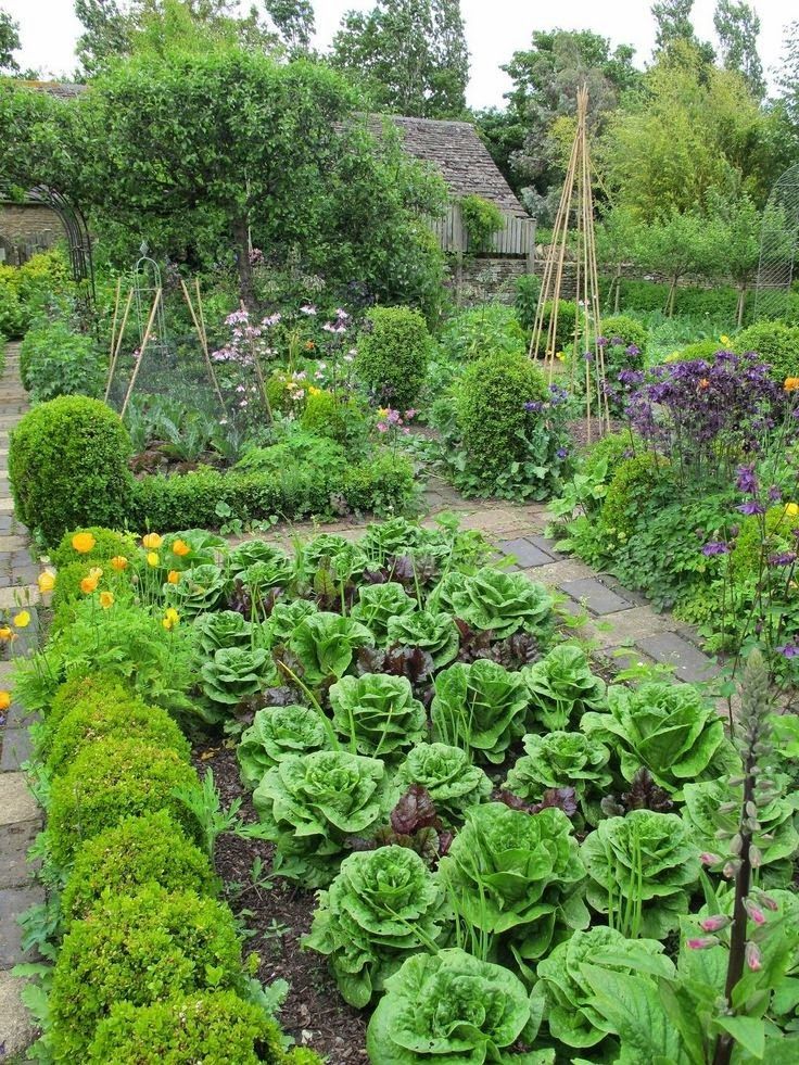 Vegetable Garden Ideas Pinterest Part - 37: Garden U0026 Grow ~ Willow Bee Inspired: Garden Design No. 18 - The Potager. A Potager Is The French Term For An Ornamental Vegetable Or Kitchen Garden.