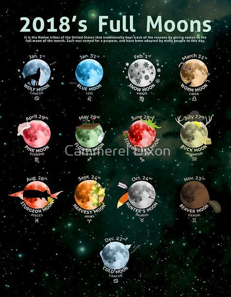2018 s full moons poster by cammerel dixon full moon moon guide chart