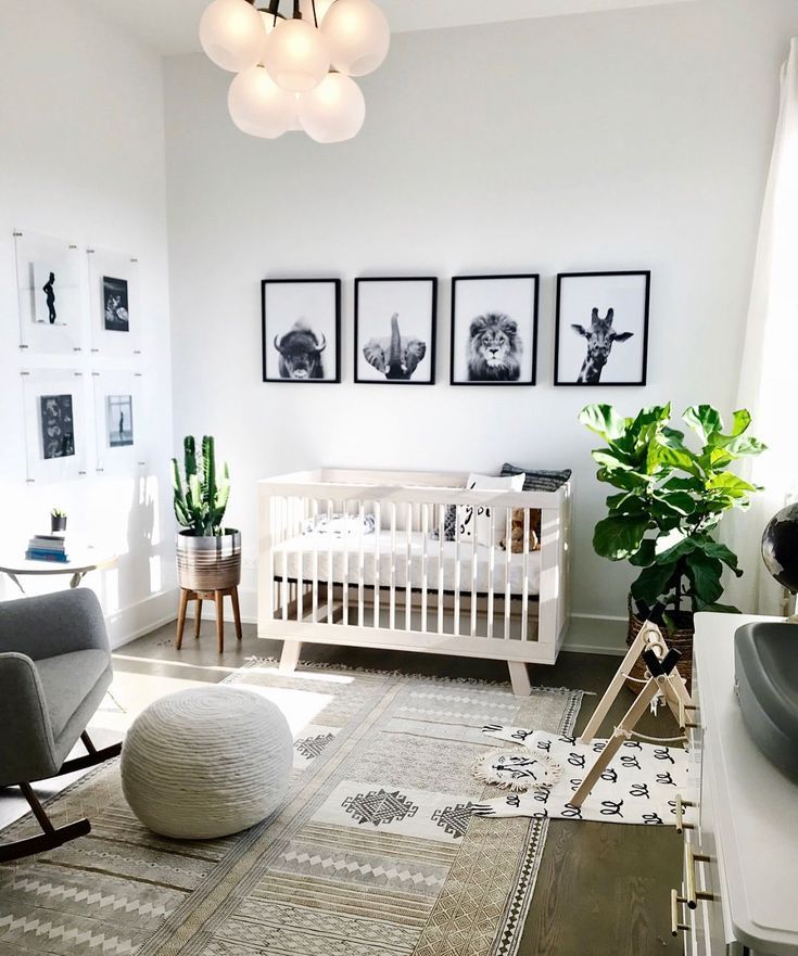 262 Gefällt-mir, 8 Kommentare - HelloBirdieBirdie-Nasaa (@hellobirdiebirdie) am...