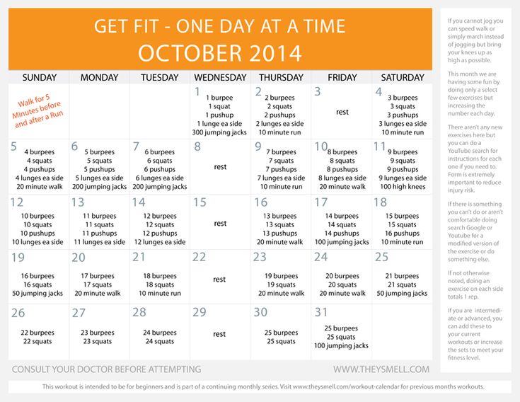 free printable workout plan