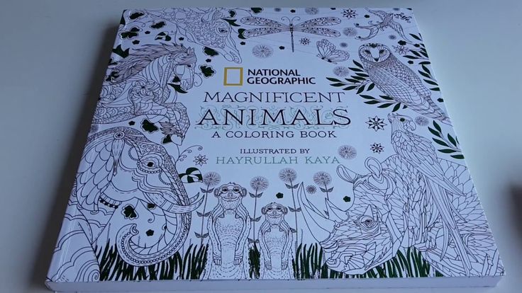 Download Review National Geographic S Colouring Book Magnificent Animals Coloring Books Color National Geographic