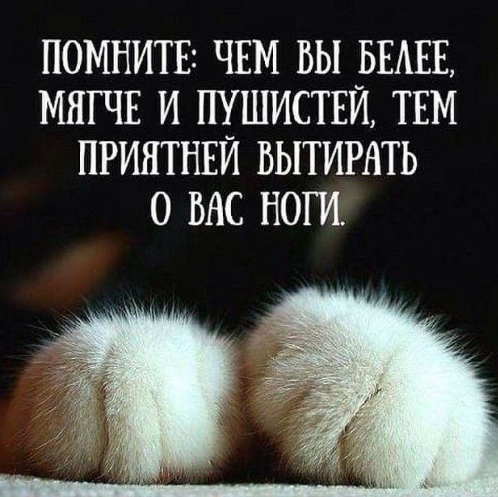 Открытки днем, прикольные и умные фразы с картинками
