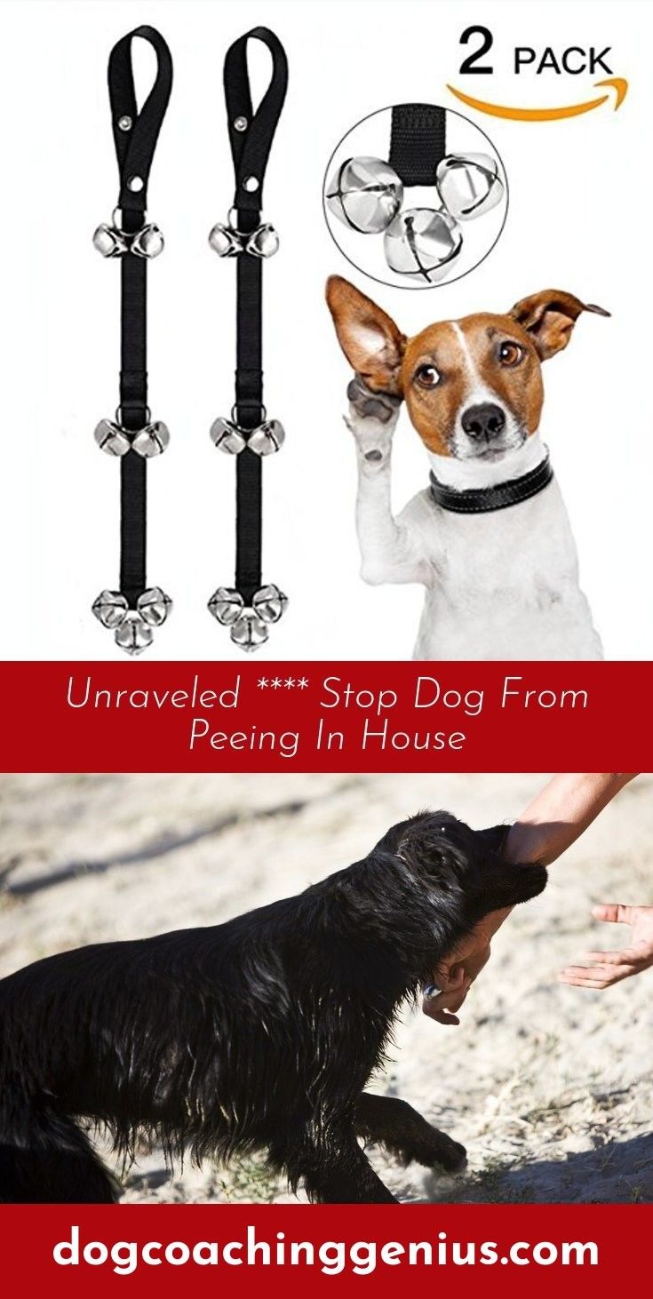Find More Information On Dog Potty Area Dog Potty Area Dog