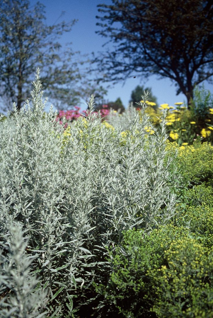 Be your own gardening expert hessayon