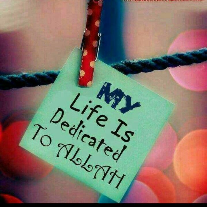 I Love Allah Dp With Images Allah