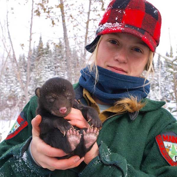 wildlife biologist college