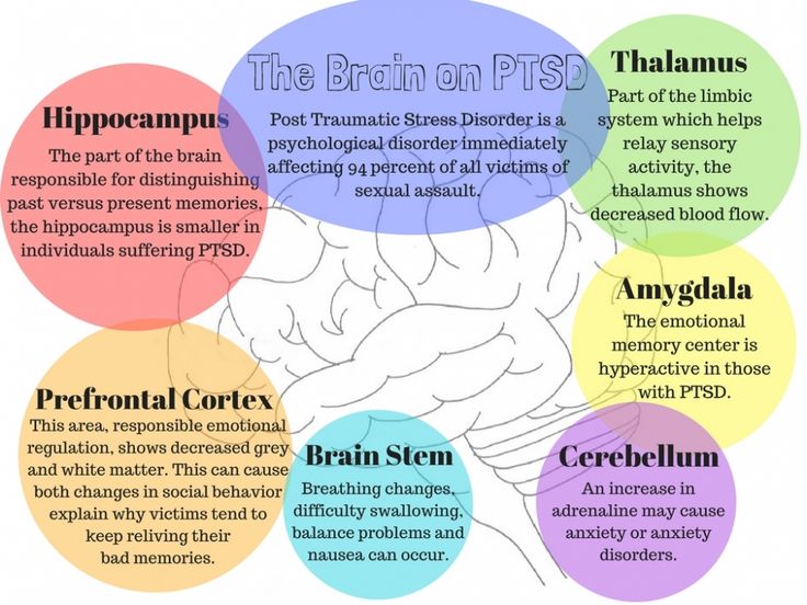 what sexual assault does to the brain what sexual assault does to the brain