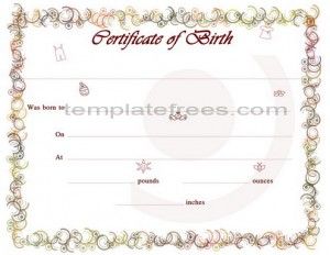 create a birth certificate online