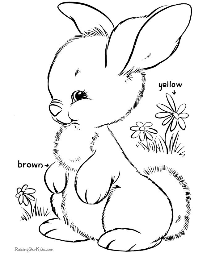 easter bunny coloring pages cute bunny free printable easter bunny coloring pages for kids easter coloring activities - Easter Printable Coloring Pages easter bunny coloring pages cute bunny free printable easter bunny coloring pages for kids easter coloring activities - Easter Printable Coloring Pages