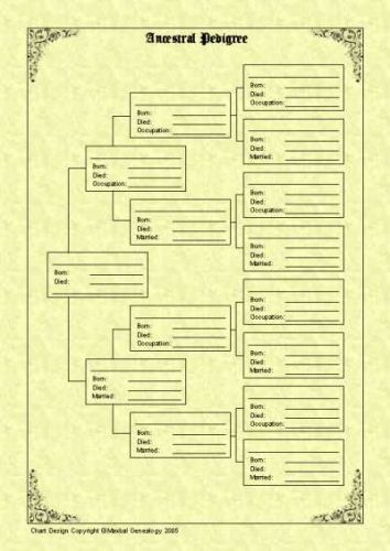 ancestor pedigree chart generation ancestral pedigree a4 5 pack ancestry charts templates