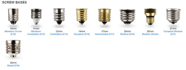 Light Bulb Socket Sizes Chart | Garage Sanctum | Bulb, Light bulb, Lamp socket