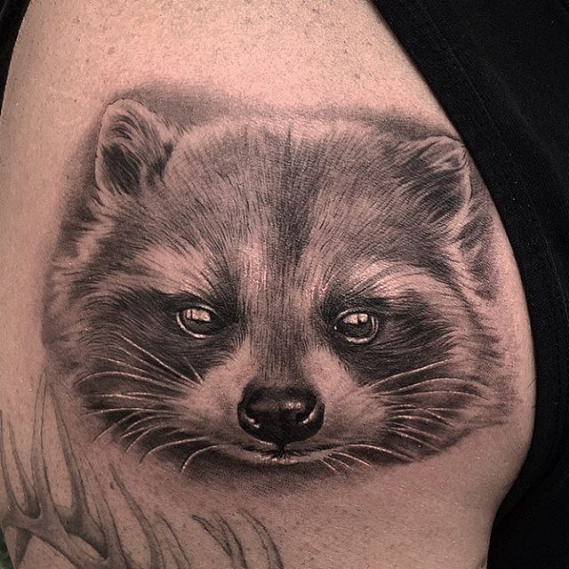 146 best tatoos images on pinterest raccoons raccoon tattoo and 146 best tatoos images on pinterest raccoons raccoon tattoo and