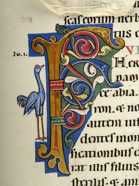 1921 best Lettrines du Moyen Age images on Pinterest Illuminated - best of letter format author initials 1921 best Lettrines du Moyen Age images on Pinterest Illuminated - best of letter format author initials