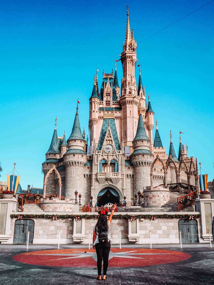 Walt Disney World Cinderella Castle Disney Pillowcase