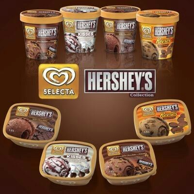 objectives of selecta ice cream objectives of selecta ice cream