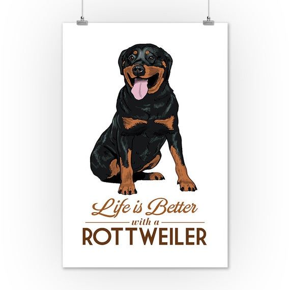 Rottweiler Life Is Better White Background 6 Sizes Art Prints