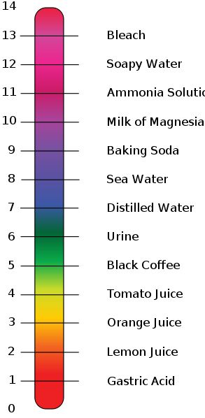 266 best Science Chemistry images on Pinterest Science - chemistry chart template 266 best Science Chemistry images on Pinterest Science - chemistry chart template