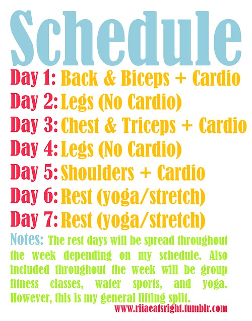 2221 best exercise and workouts images on pinterest workouts gym schedule maker