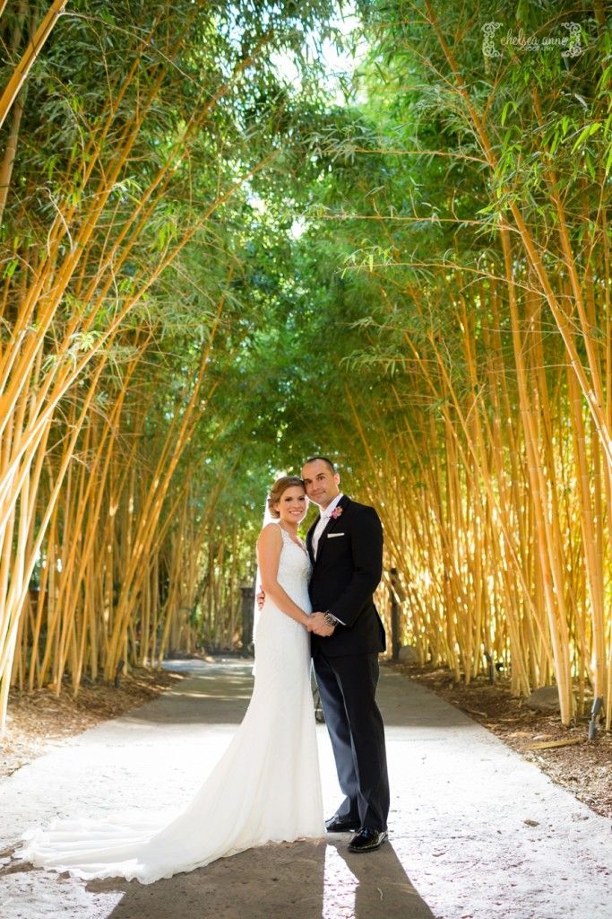 San Go Safari Park Wedding Ideas 276 Best Wild Wedding Images On Pinterest San Go Zoo Safari