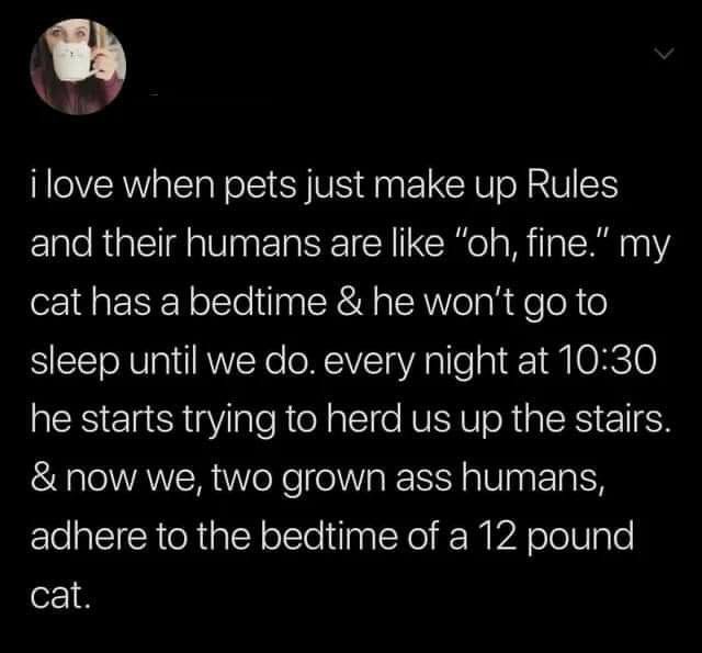 Pin On Missy In 2024 Cute Funny Animals Inappropriate Jokes Cute 9dc946444de4e7af358b849a2ec906dc