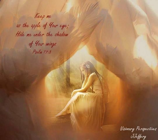Image result for prophetic art hidden under His wings