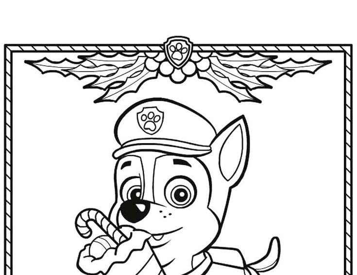 Image Result For Paw Patrol Christmas - 9dd215aea8ea0127acb06591e3157f40