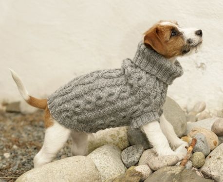 Best 25+ Dog sweater pattern ideas on Pinterest Dog jumpers, Knitting patte...