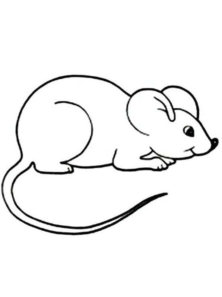 deer mouse coloring page. Mouse are animals that have characteristics