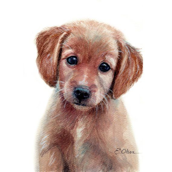 Cute Puppy Image To Print And Color 033 Puppy Coloring Pages Animal Coloring Pages Dog Coloring Page