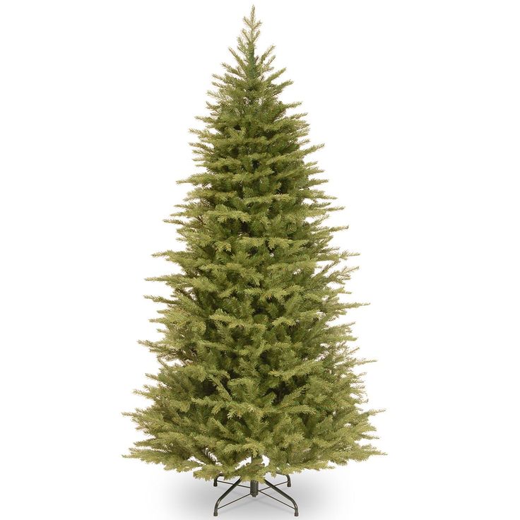 28 best cheap real christmas trees sale 1000 ideas 28 best cheap real christmas trees sale 1000 ideas