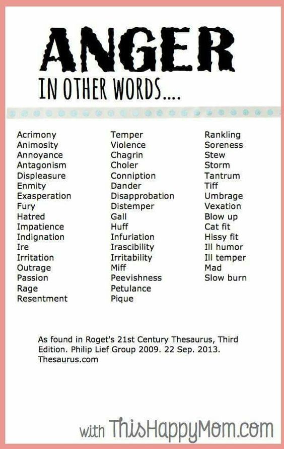 Synonyms for essay
