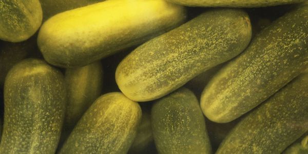 Can You Have Pickles On Keto Diet Carbs In Pickles In 2020 Pickling Recipes Keto Veggie Recipes Delicious Vegetables