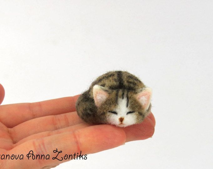cyperse kat naald vilten slapen, weinig slapen poesje, miniatuur